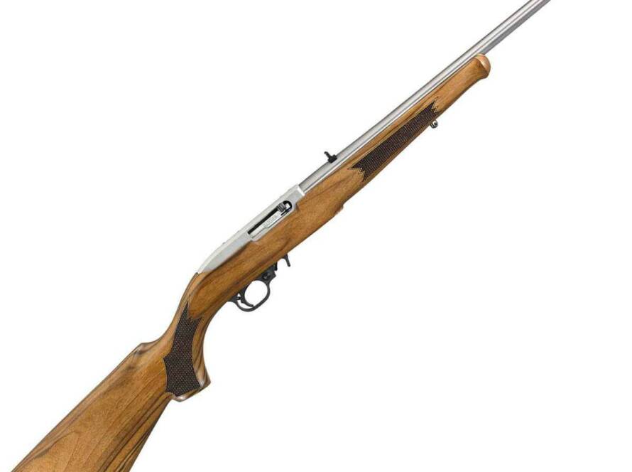 Ruger 10/22 rifle